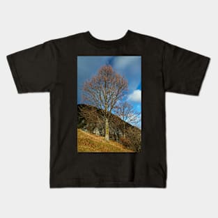 Beech tree on mountain Kids T-Shirt